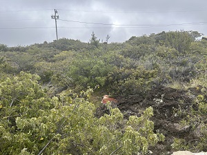 Picture before the clouds of Haleakala