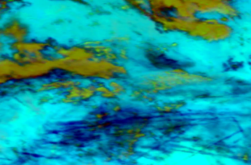 Contrail Identification